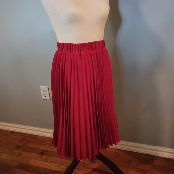 Women's Pleated Skirt - Picture 1 of 2